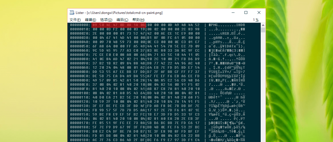 用TotalCommander的Lister工具以十六进制格式查看PNG文件时在Windows 10上的屏幕截图
